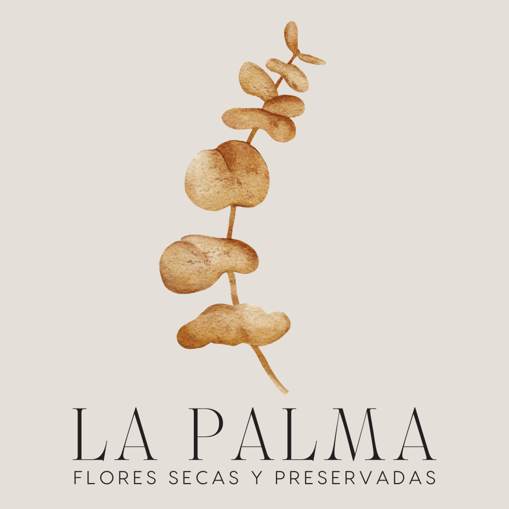 Flores La Palma Secas Preservadas Ramo